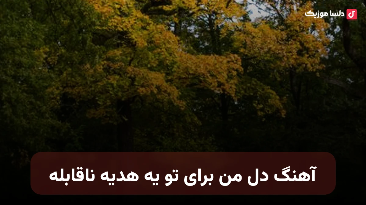  دل من برای تو یه هدیه ناقابله با صدای زن